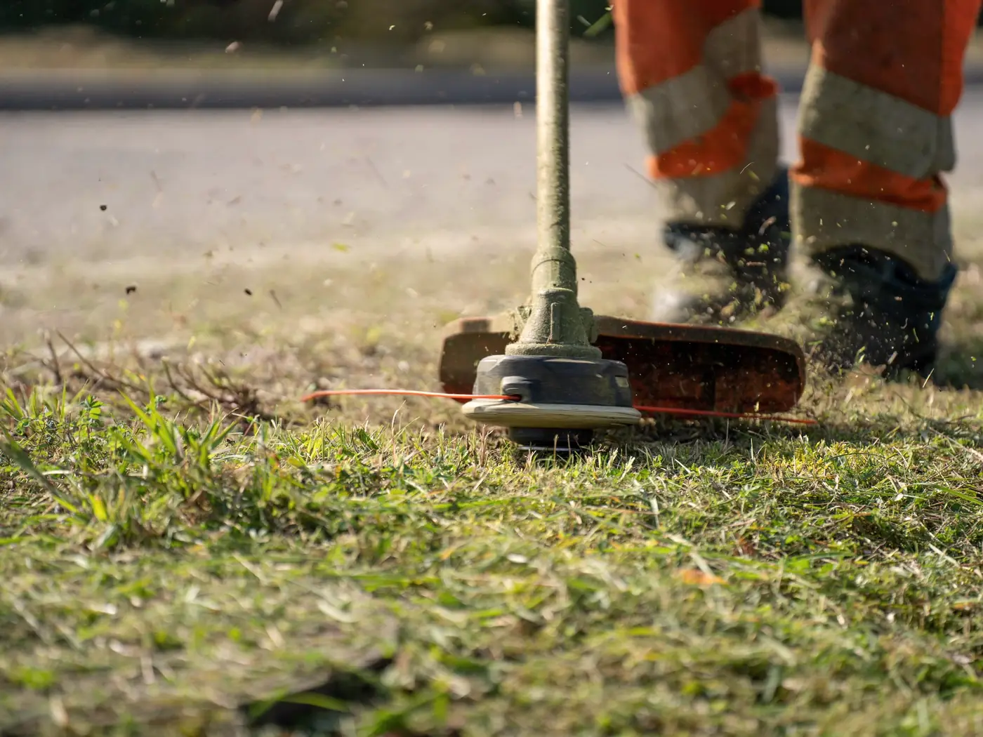 String trimmer cutting a clean edge where the lawn meets the street