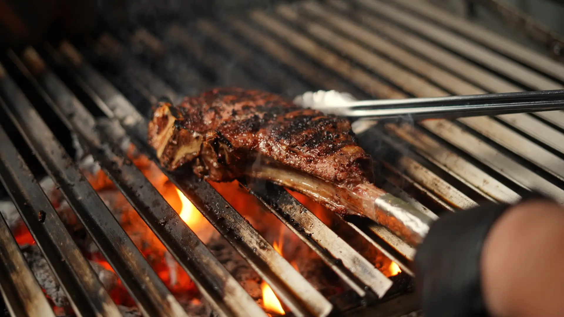 A bone-in steak turned with tongs over glowing coals